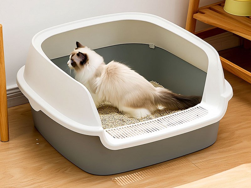 大號(hào)貓砂盆注塑 大號(hào)貓砂盆注塑