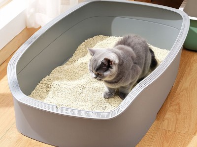 大號(hào)貓砂盆注塑 大號(hào)貓砂盆注塑